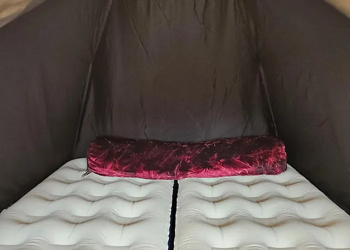 Caravan Met Voortent En Bijzettentje * Petten